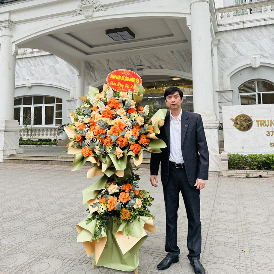 hosonangluc8